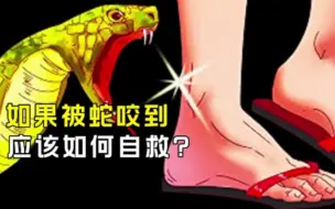 Tải video: 如果你被蛇咬到，应该如何自救？