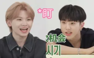 Tải video: “喂！只看着自己的就好了”  “我只看woozi”