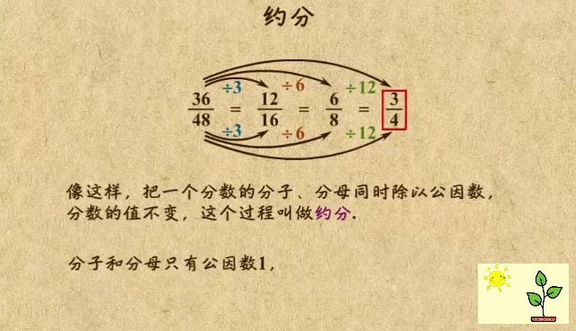 小学五年级下册数学《约分》视频课程.关注后期持续更新全册.哔哩哔哩bilibili