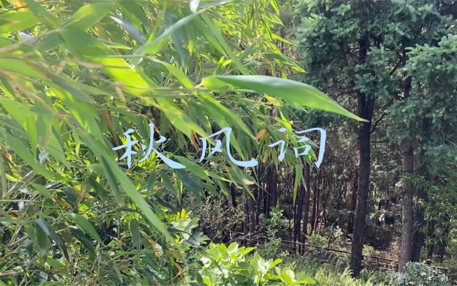 秋风词——李白(来自一个古琴初学者的弹唱.