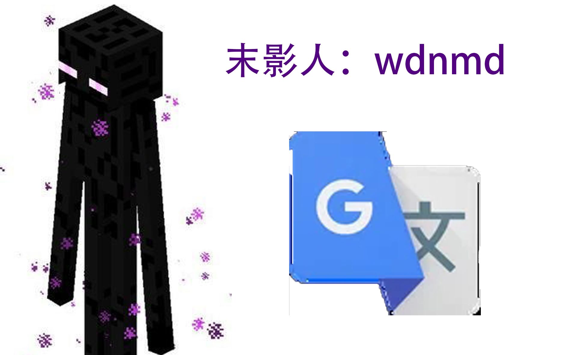 【谷歌生草机】当你把末影人的简介翻译20遍后……物 理 生 物 带 师哔哩哔哩bilibili