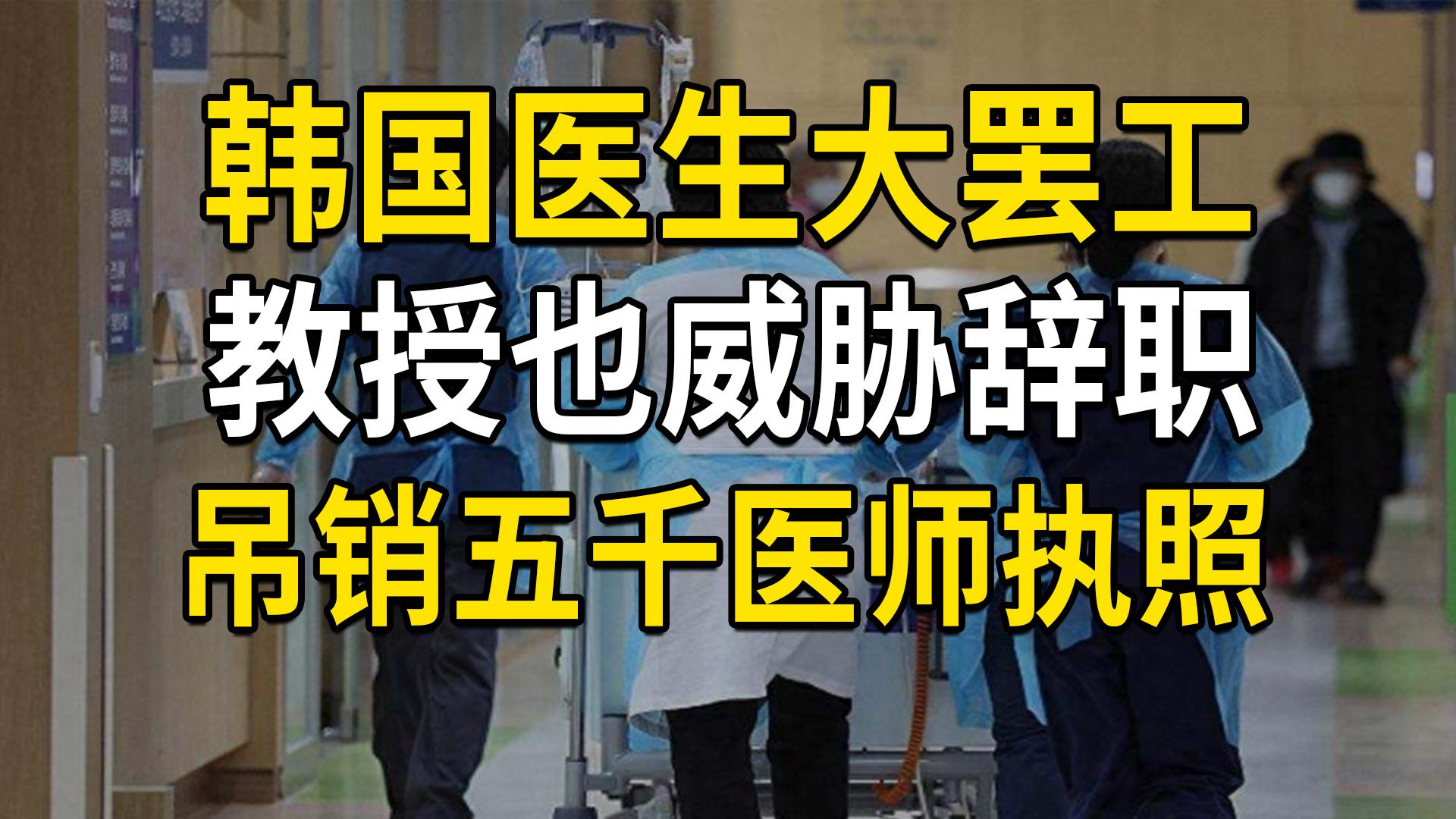 韩国医生大罢工超半月,教授也威胁辞职,双方强硬的原因分析(大白话时事571期)哔哩哔哩bilibili