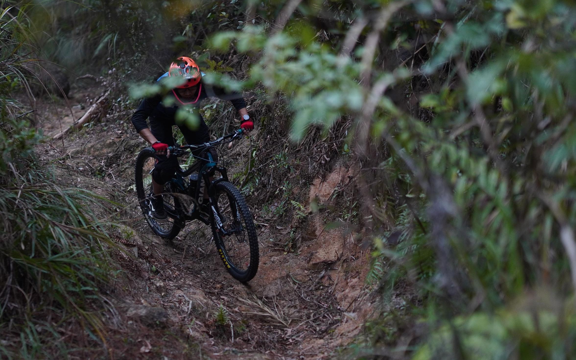 【山地车速降】国内休闲版 make it reign