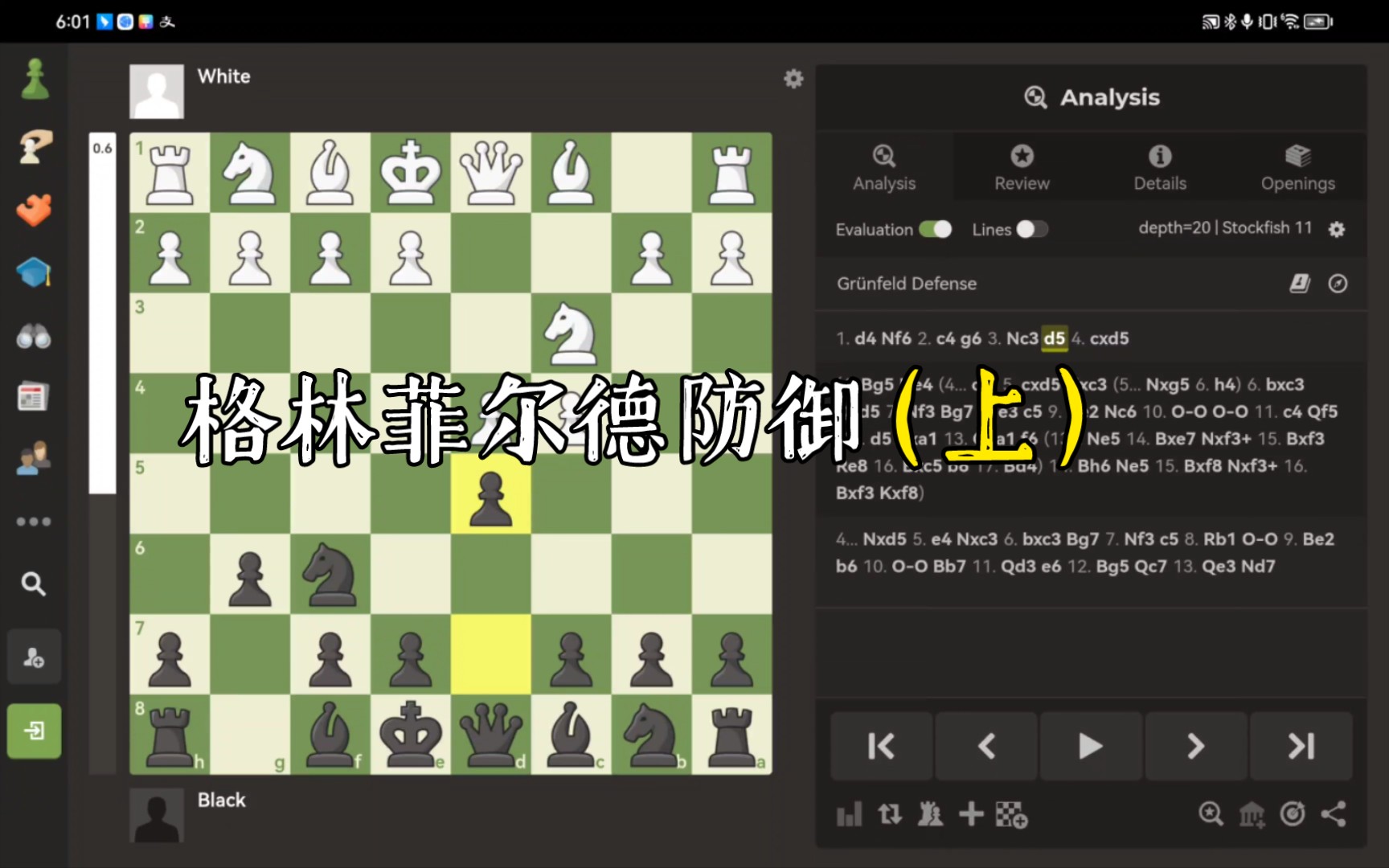 【开局教学】传说中的格林菲尔德防御终于来了!国际象棋三大最激烈开局之一格林菲尔德防御教学(上)——棋王阿廖欣一辈子也忘不了的开局哔哩哔哩...