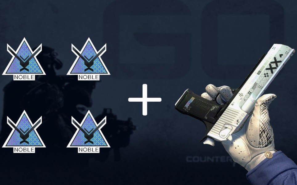 csgo新的全息沙鹰贴什么贴纸全息贵族小队