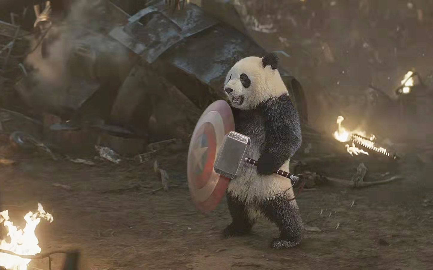 “今 天，我 的 DNA 彻 底 崩 溃 了！”