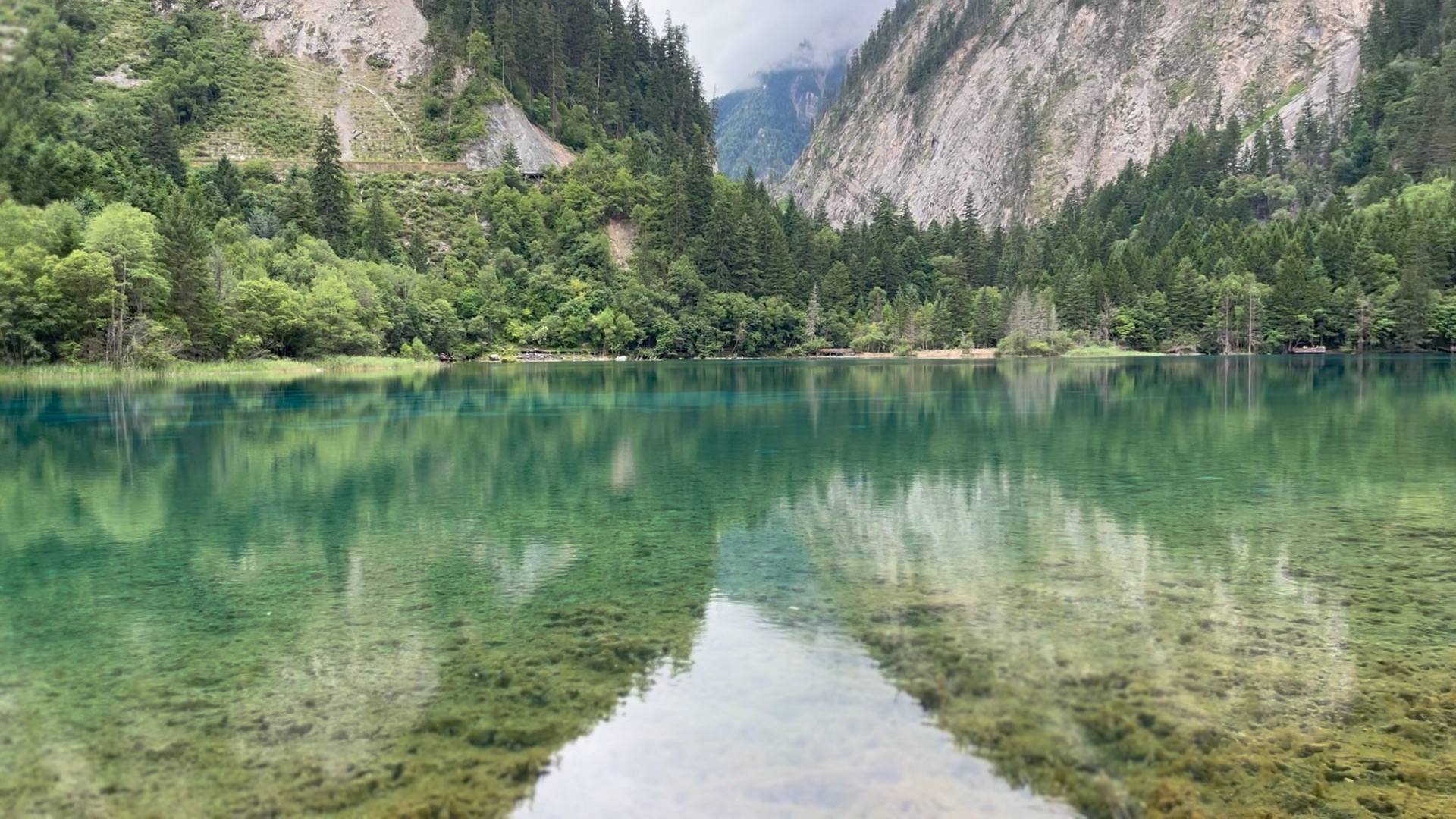 九寨沟下季节海图片