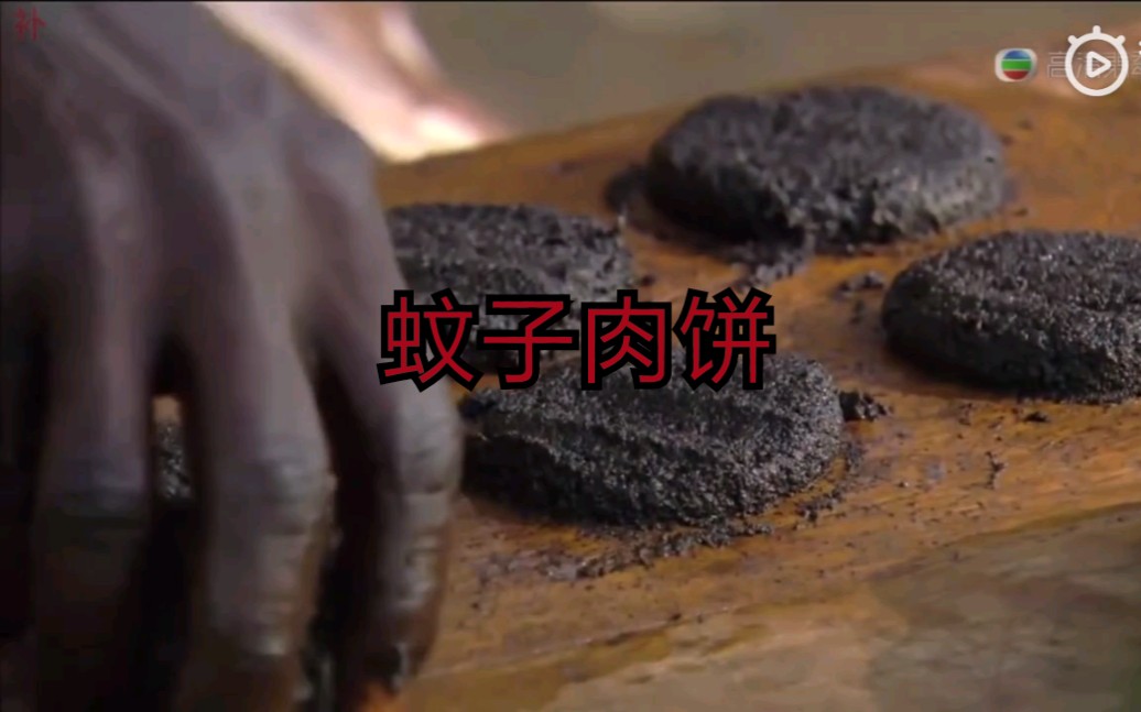非洲人民传统美食:蚊子肉饼(一块饼50万只蚊子)