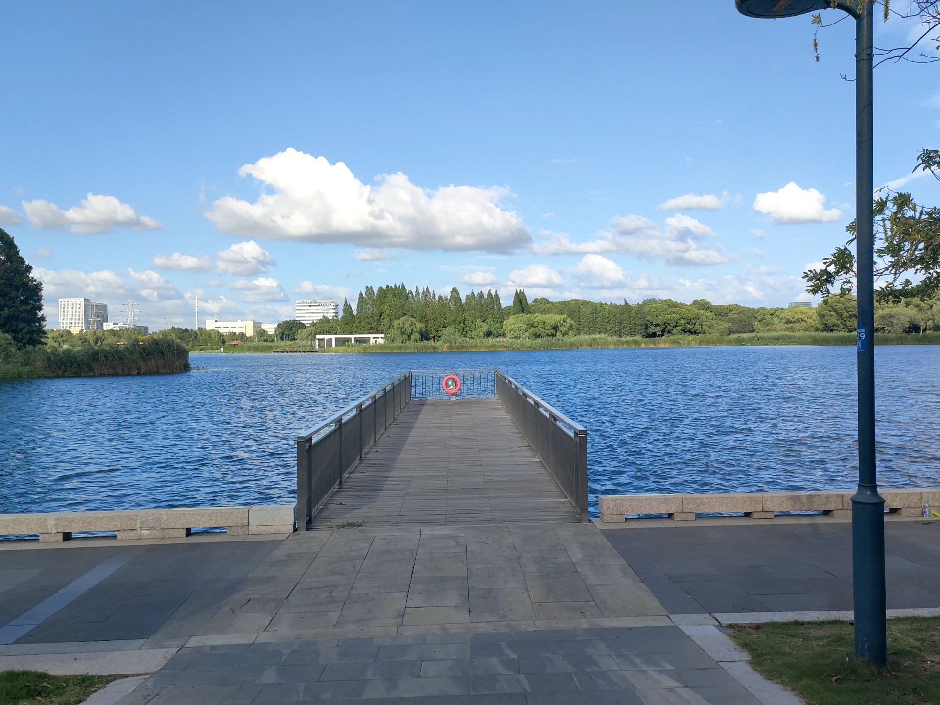 阿根廷与法邦的激烈对决，阿根廷胜