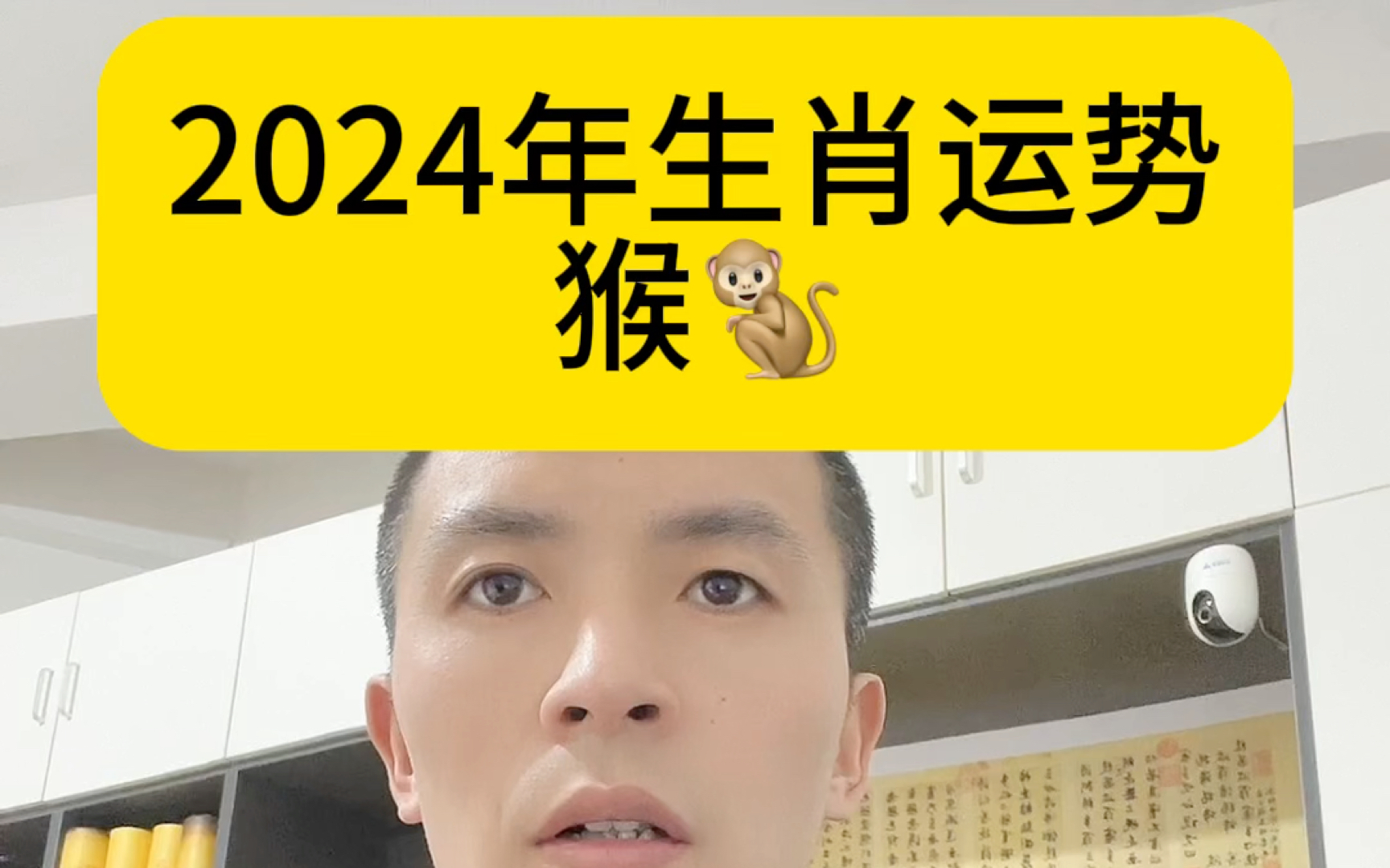 2024年十二生肖猴属猴人运势哔哩哔哩bilibili