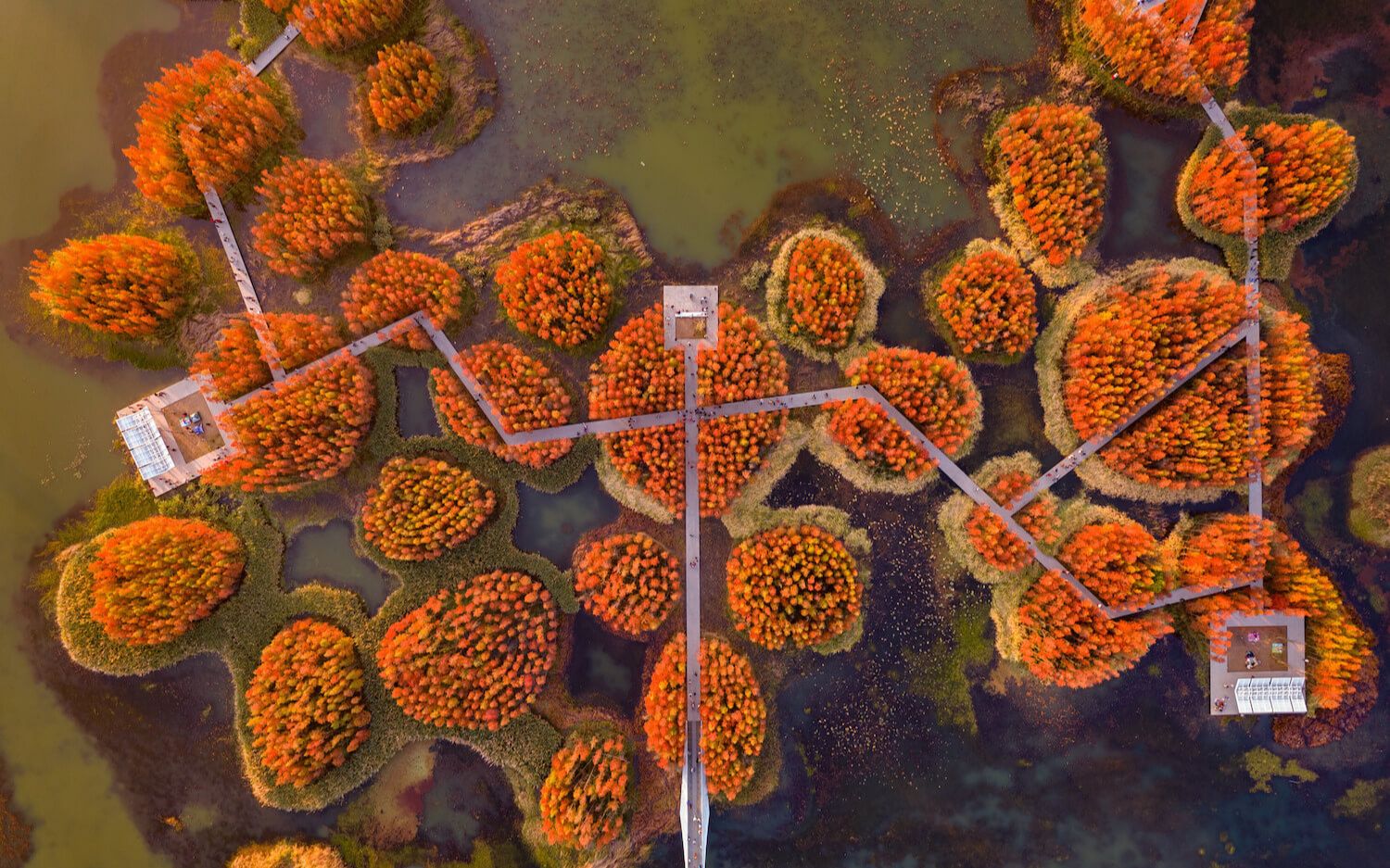 南昌城市鱼尾洲公园航拍