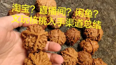 文玩核桃龙门涧-哔哩哔哩_Bilibili