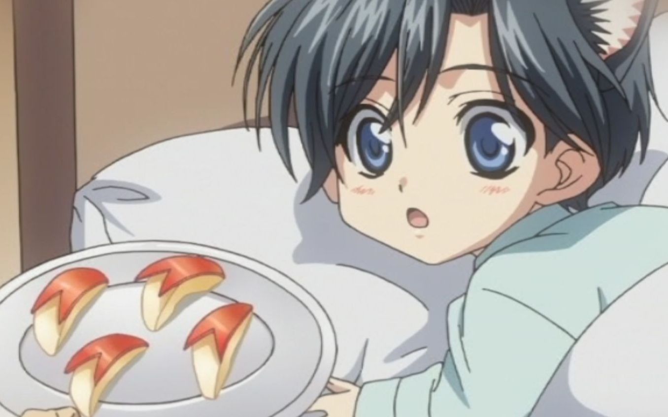 有谁不想欺负欺负又软又萌的小奶受【百日蔷薇】番外!