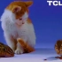 TCL王牌电视演示片 约2000年代