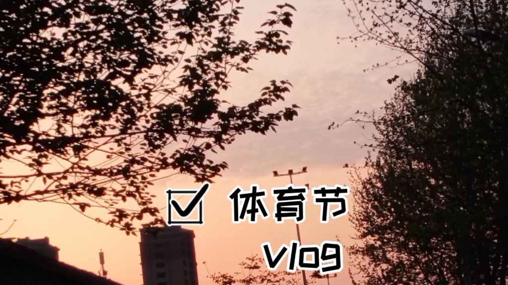 漯河高中第二十届体育文化节vlog哔哩哔哩bilibili