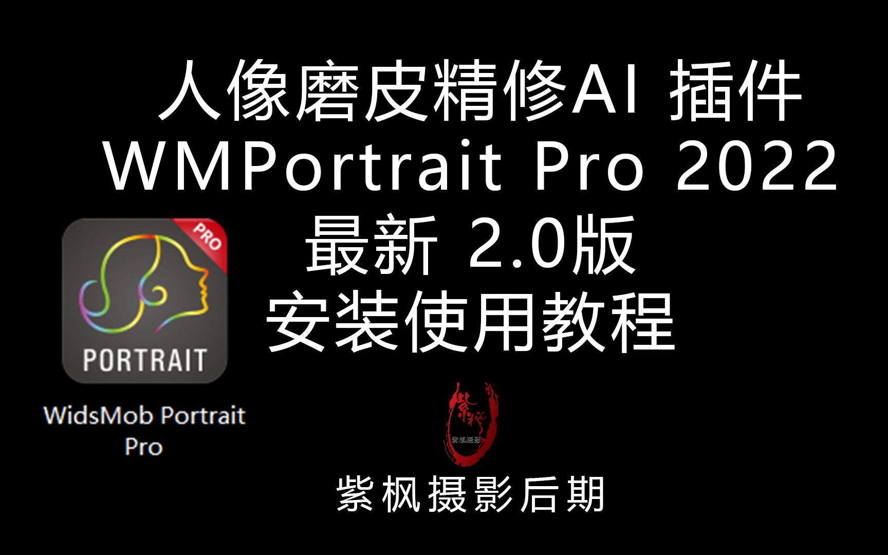 人像磨皮精修 AI 插件 Portrait Pro 2022 最新 2.0 版安装使用教程哔哩哔哩bilibili