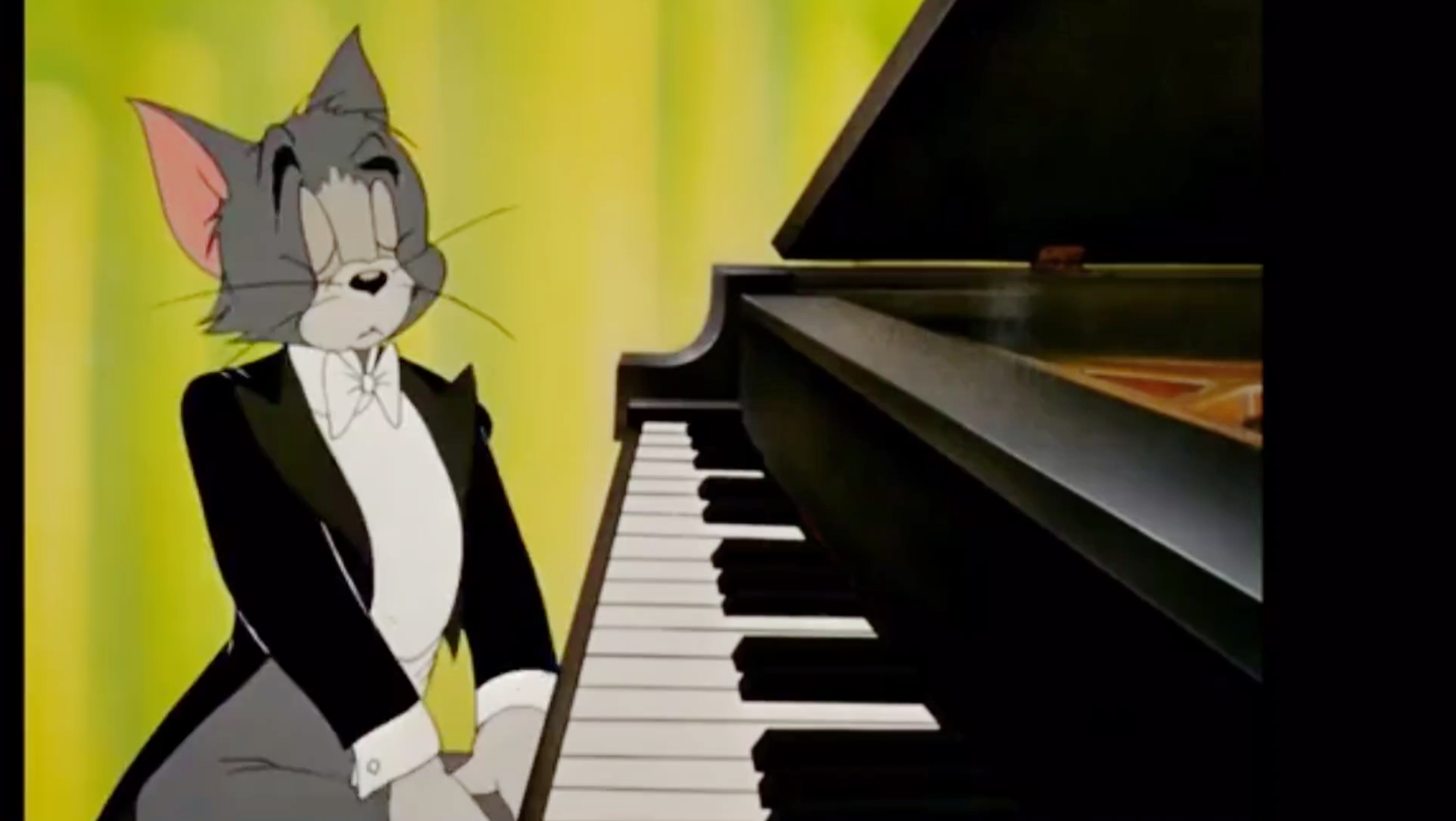 汤姆猫弹钢琴4k超清