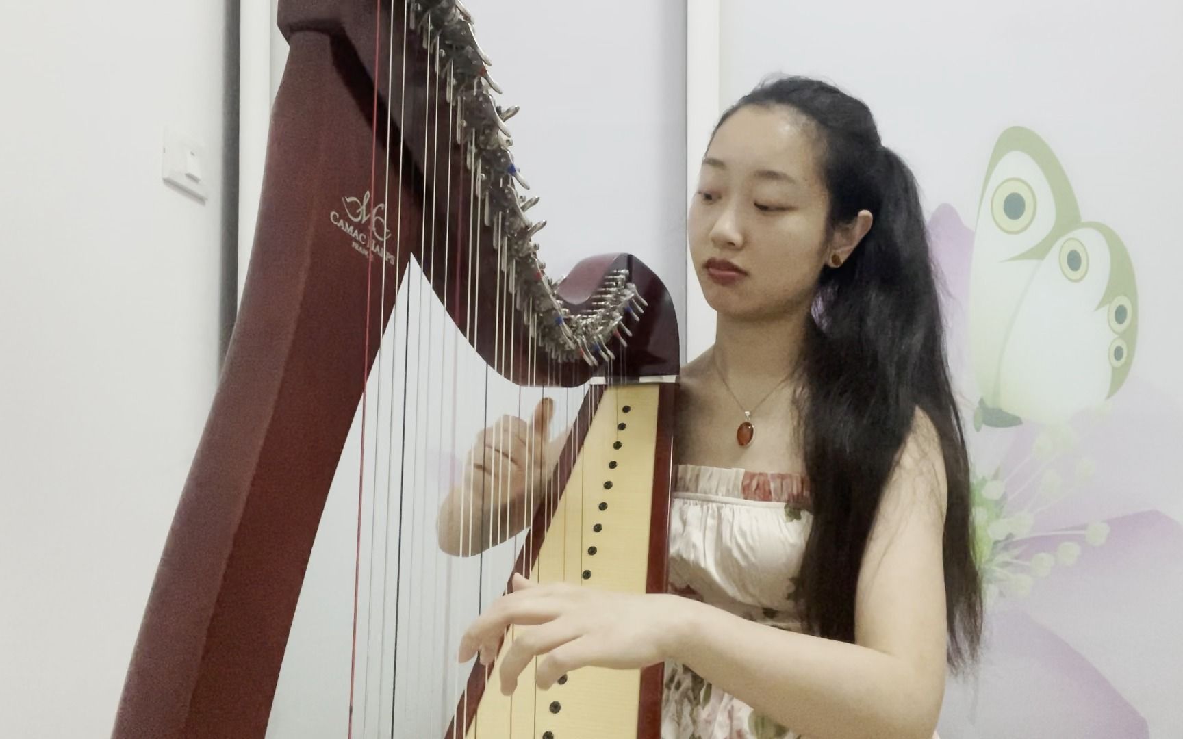 hilary stagg - pachabel canon in d(a variation in c)|新世纪竖琴