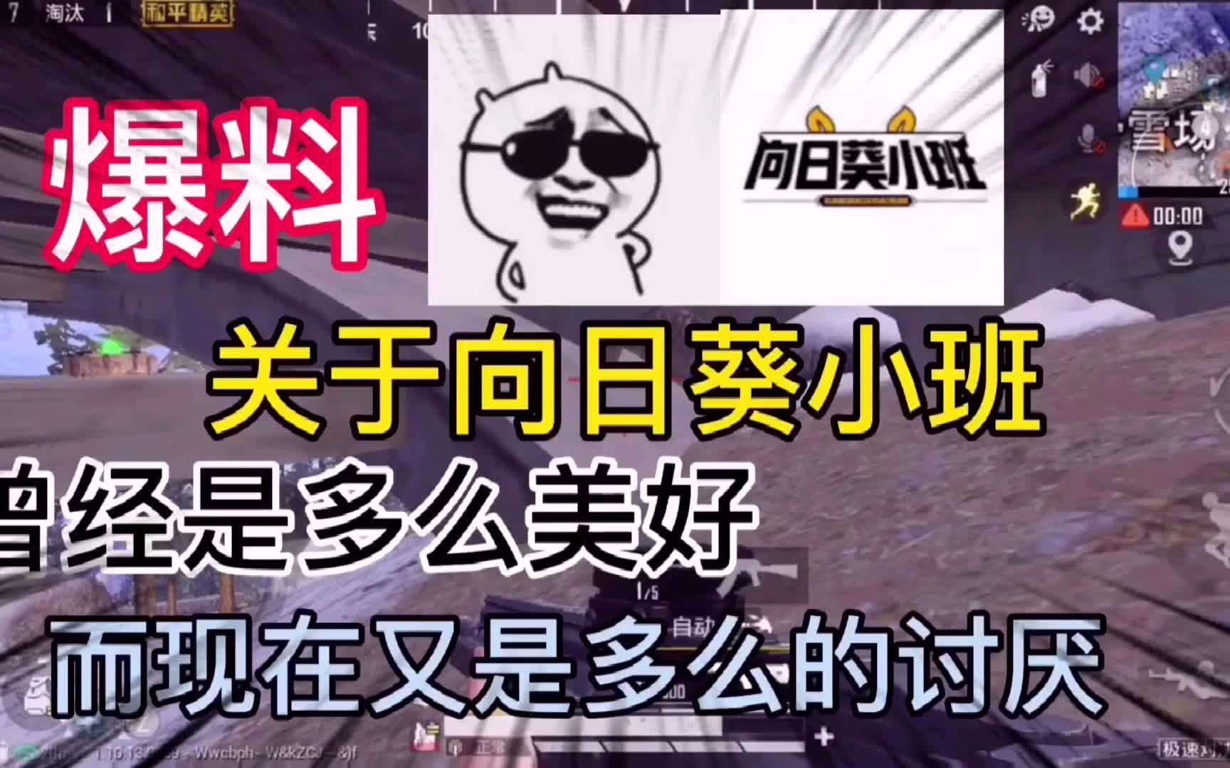"爆料"关于向日葵小班,曾经是多么美好,而现在又是多么的讨厌!