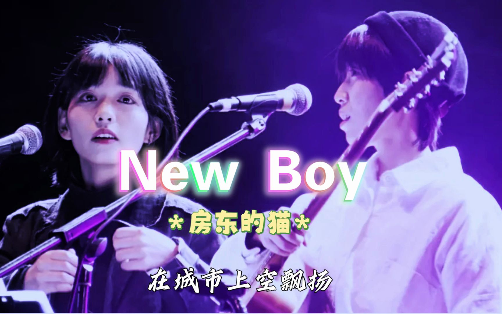 房东的猫 new boy壁纸图片