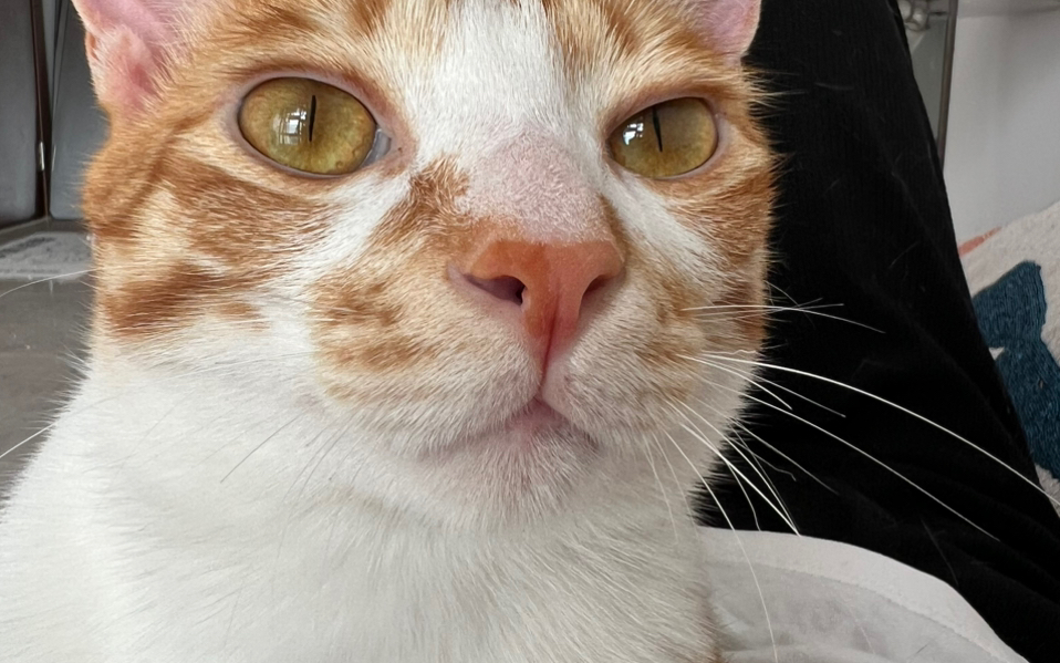 这鬼迷日眼的样子到底是像谁啊!反正我不长这样