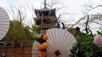超清日本 漫步千叶县谷津蔷薇园 4k测试视频 10 哔哩哔哩 Bilibili