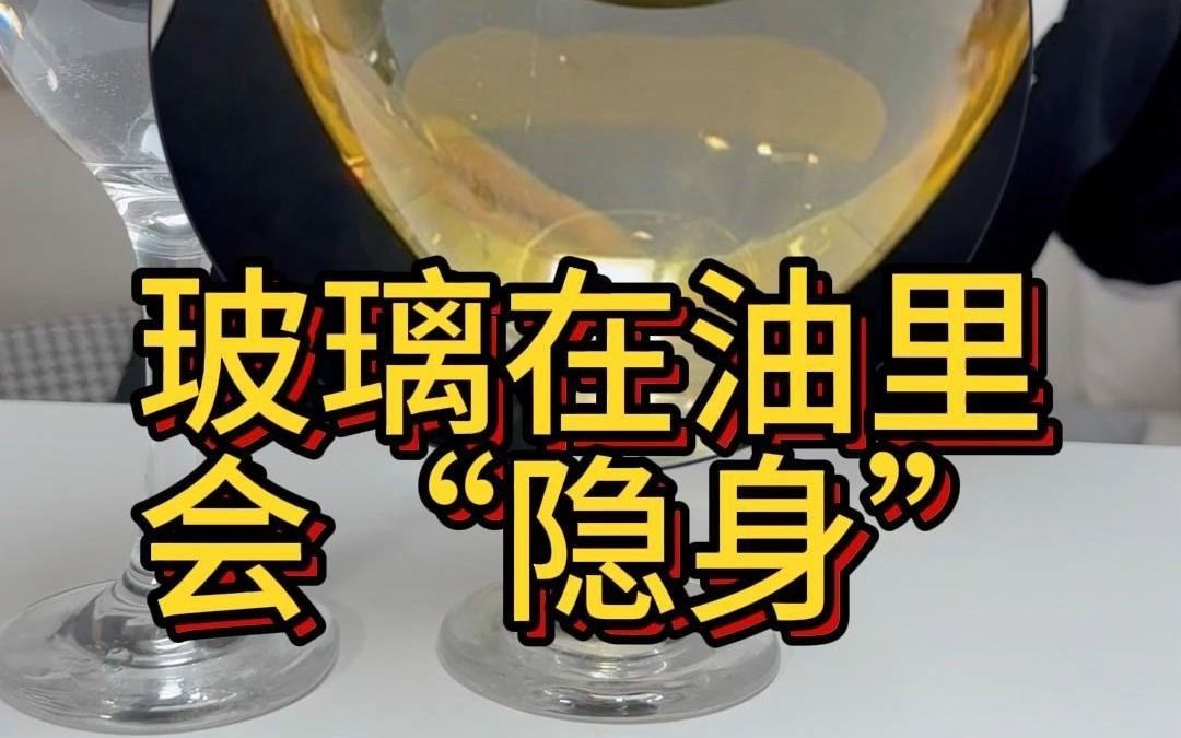 你知道嘛?把玻璃放到油里会“隐身”哔哩哔哩bilibili