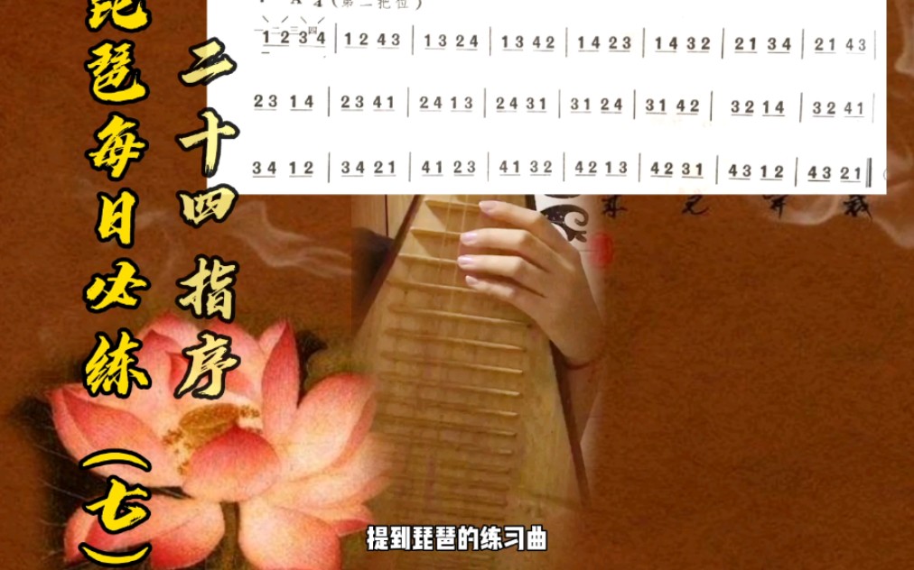 【琵琶/每日必练】左手24指序练习_哔哩哔哩_bilibili