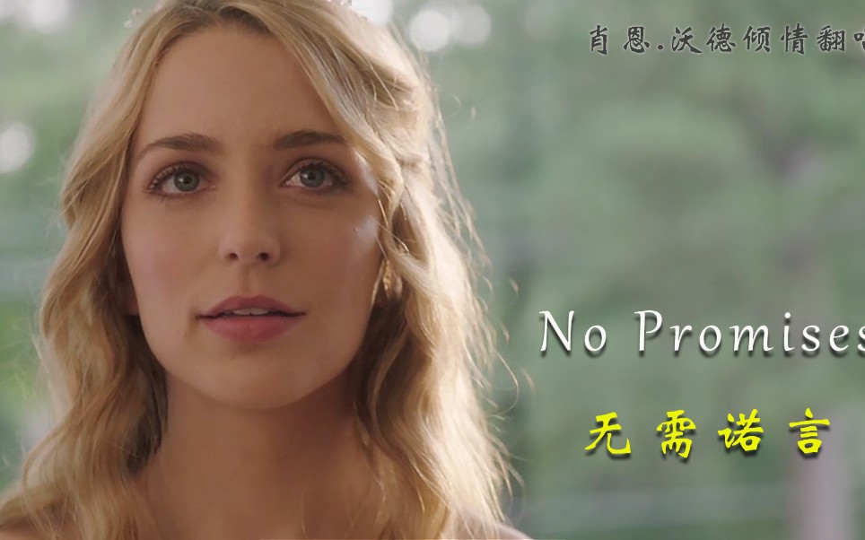 [图]欧美金曲（no promise）伤而不悲，放而不舍