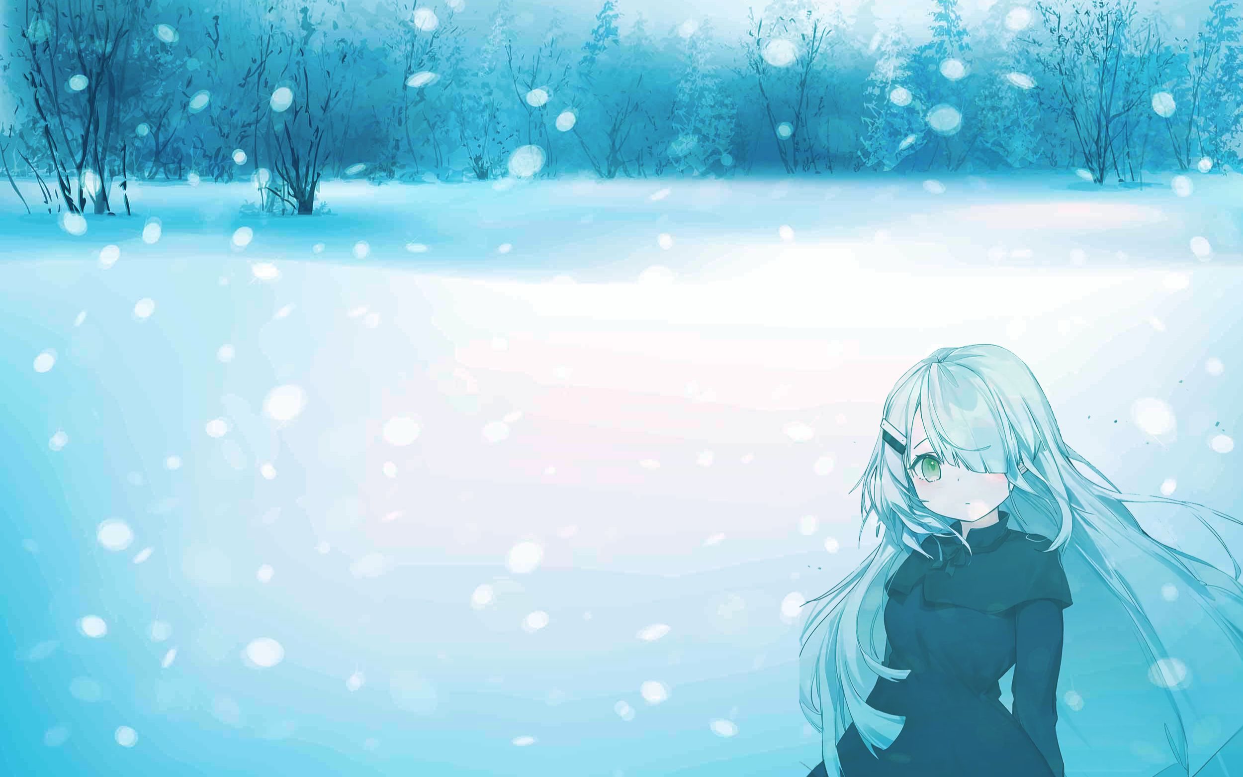 【特效字幕】《雪之华》【noworld】