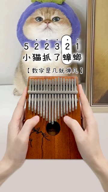 《坏猫之歌》卡林巴拇指琴演奏小猫坏事做尽那咋了?