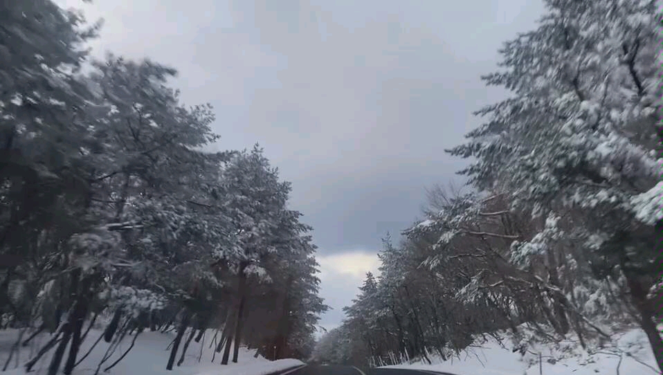 [图]韩国最高峰--汉拿山雪景