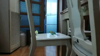 一只傻啾向你飞来