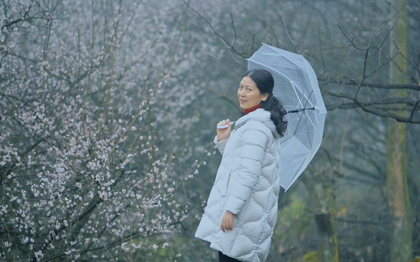 大邑雾中山看花图片