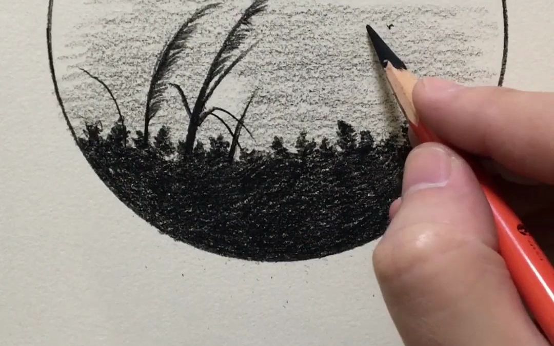 【素描新手联盟】21秒教你拿下芦苇荡小色稿,真·有手就行.