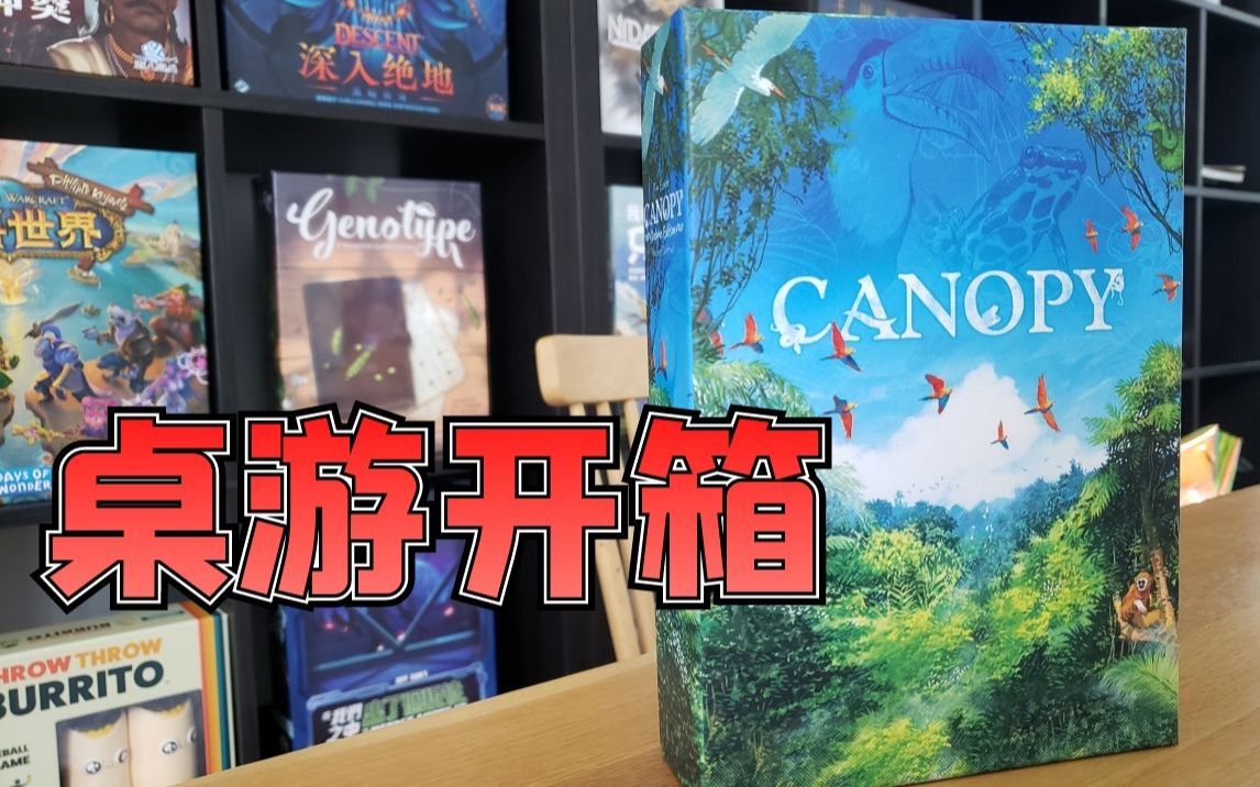 【Mr.box桌游开箱】CANOPY哔哩哔哩bilibili试玩