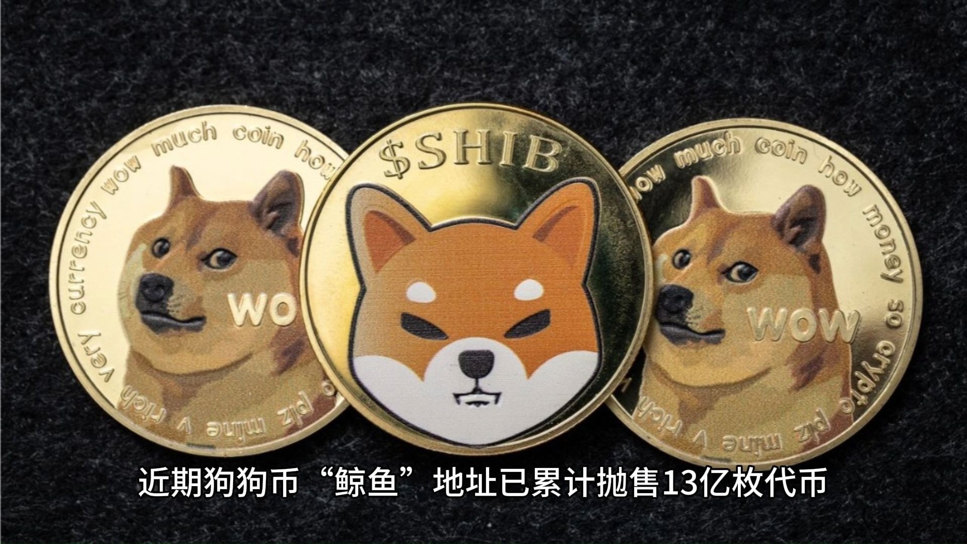 doge币行情，doge币行情usd