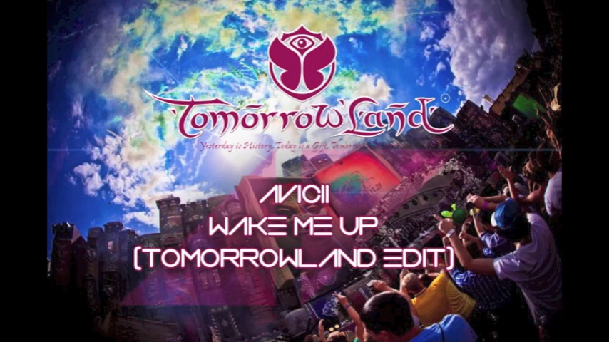 [图]Avicii - Wake Me Up (Tomorrowland 2013 Extended）