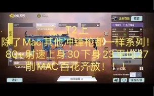 Télécharger la video: 新版本枪械测评MX9 T2上【CODM战场】