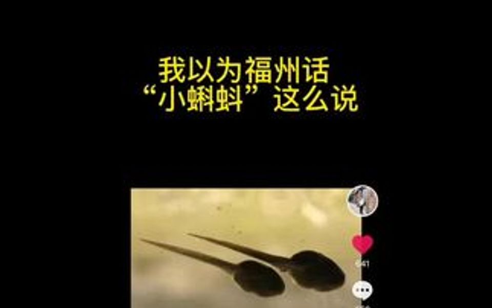 《关于小蝌蚪福州话的多种读法》哔哩哔哩bilibili