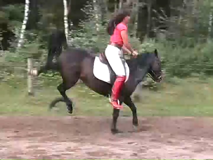 伊萨贝尔骑马3(骑完大马骑小马)