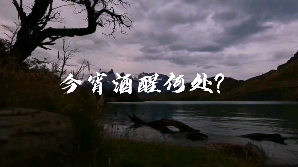 令人耳目一新的朗诵:今宵酒醒何处,杨柳岸晓风残月哔哩哔哩bilibili