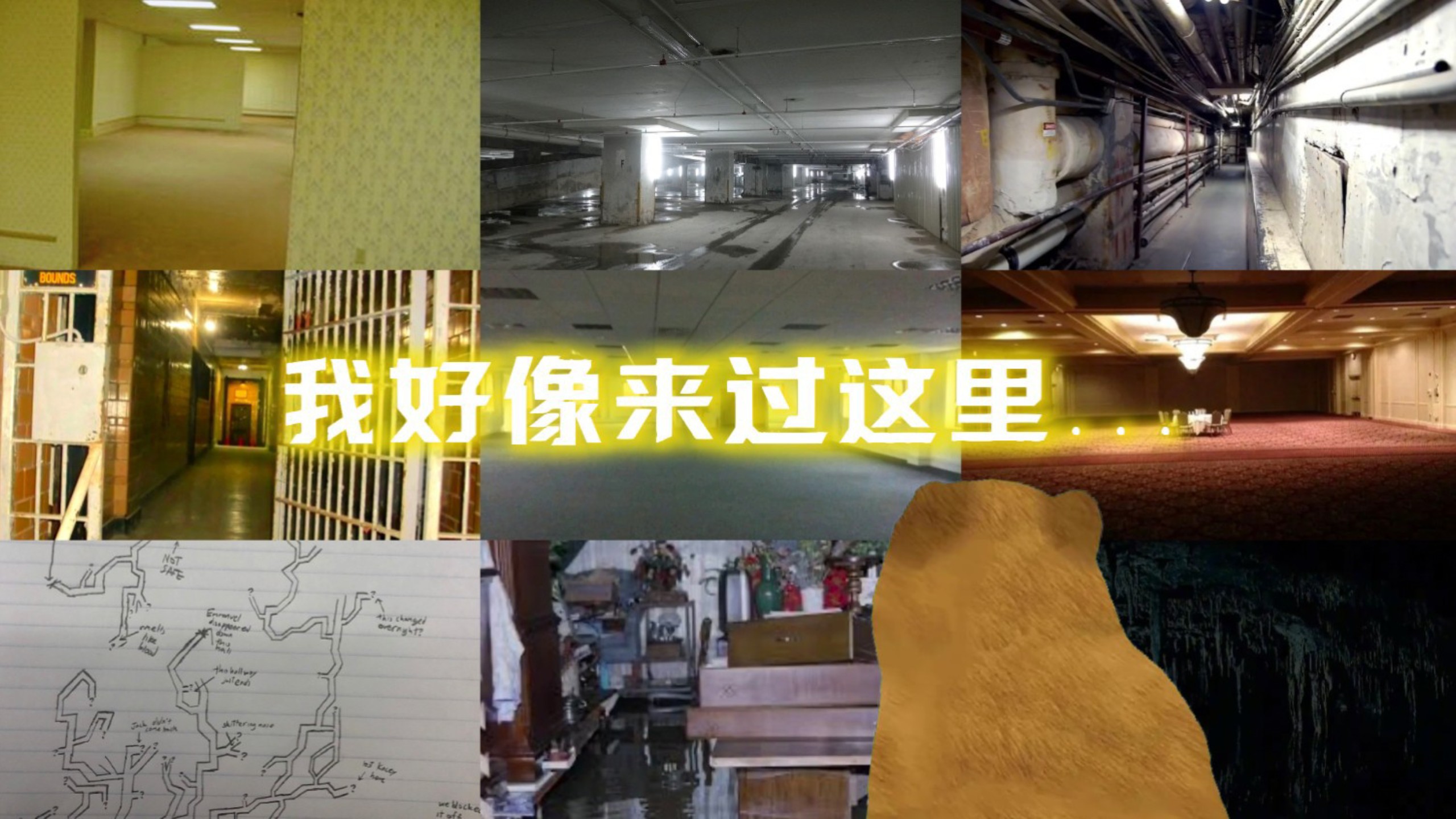 “我好像来过这里...”