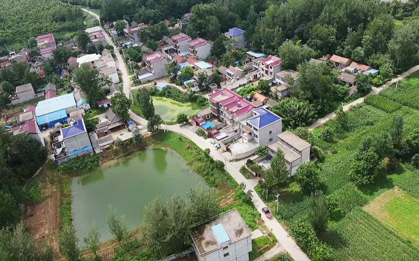 活动  古树王庄,安徽省阜阳市太和县肖口镇