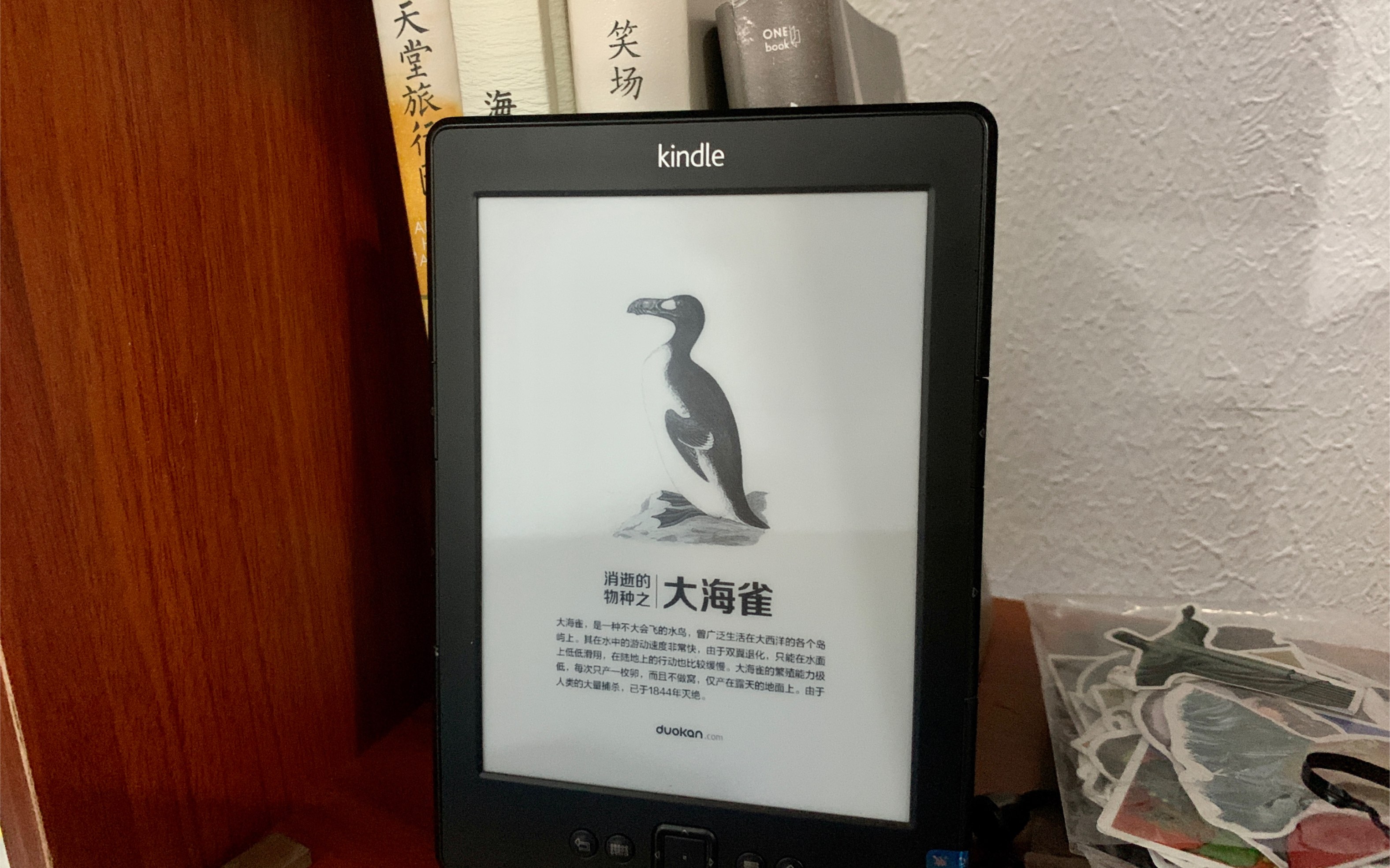 kindle电子书体验|你需要电子书吗哔哩哔哩bilibili