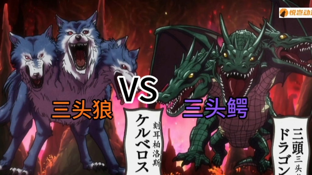 第6集|三头狼对决三头鳄