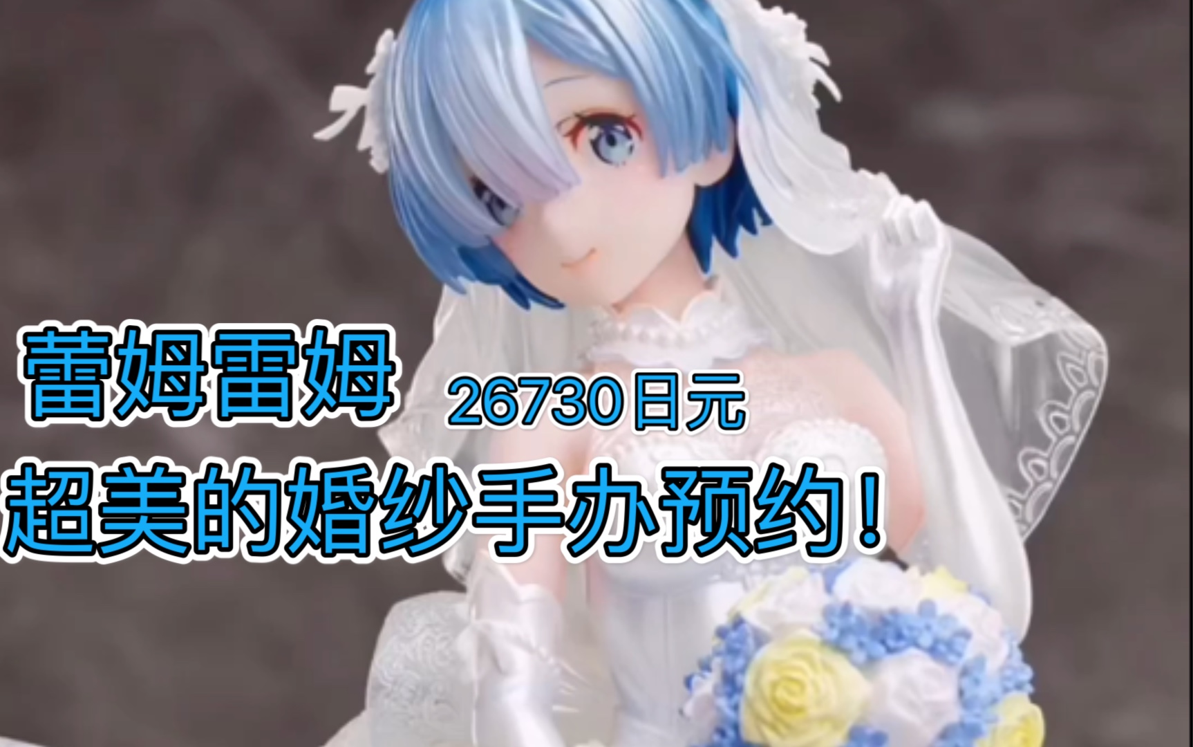 【蕾姆雷姆】婚纱手办预约!哔哩哔哩bilibili