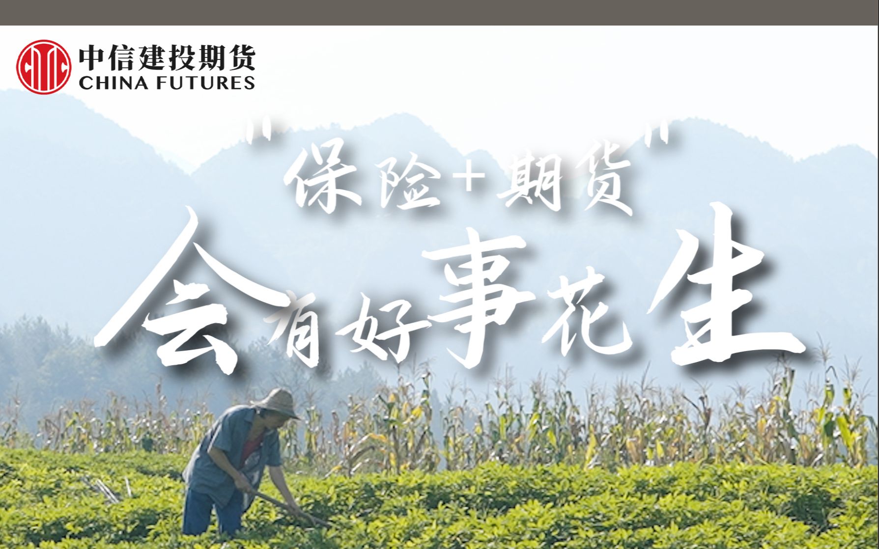 "保险 期货"会有好事"花"生