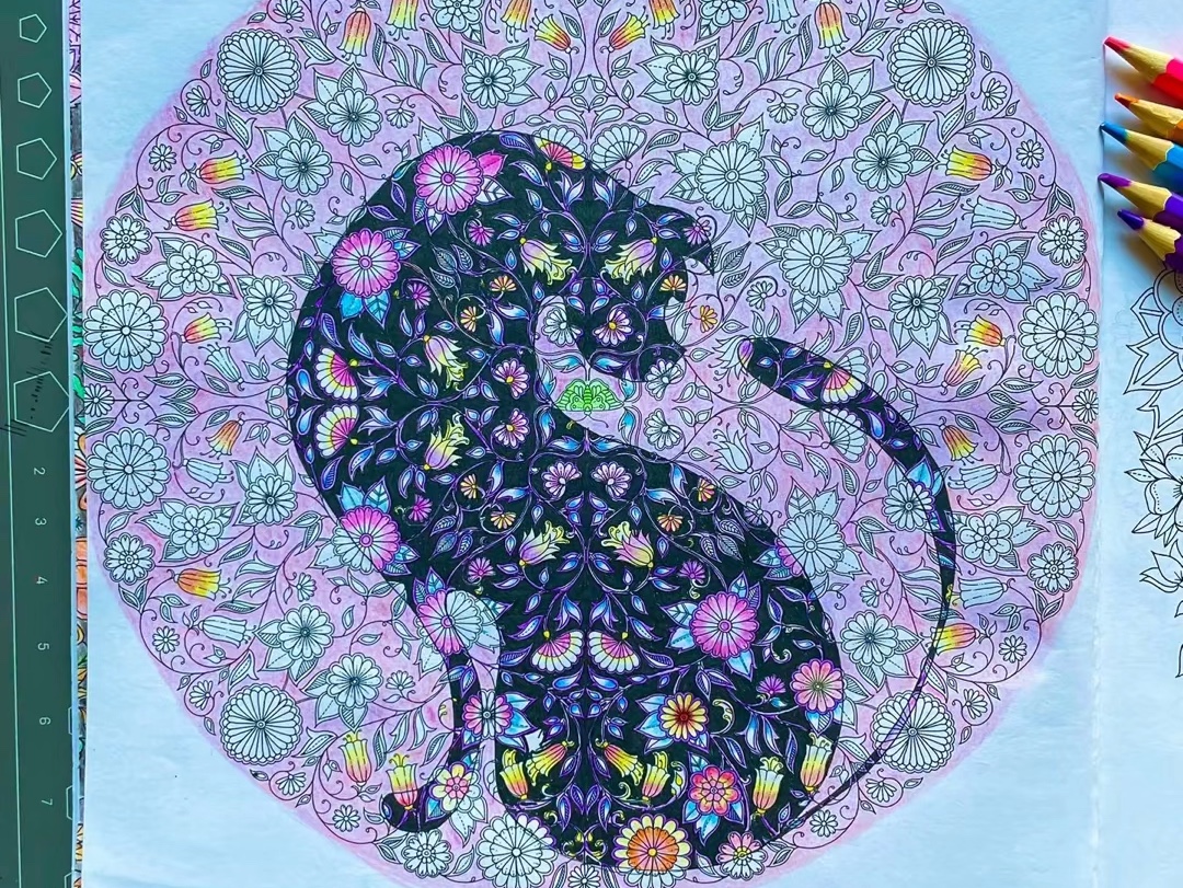 秘密花园涂色之12