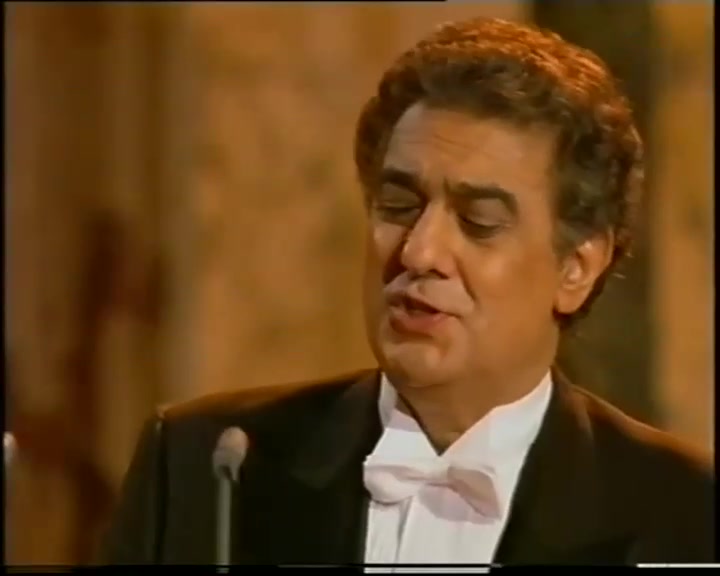 [图]1993年维也纳圣诞音乐会 Christmas in Vienna 1993 Plácido Domingo & Dionne Warwick